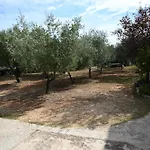 Cozy Apartments In Zadar With Free Parking And Olive Garden