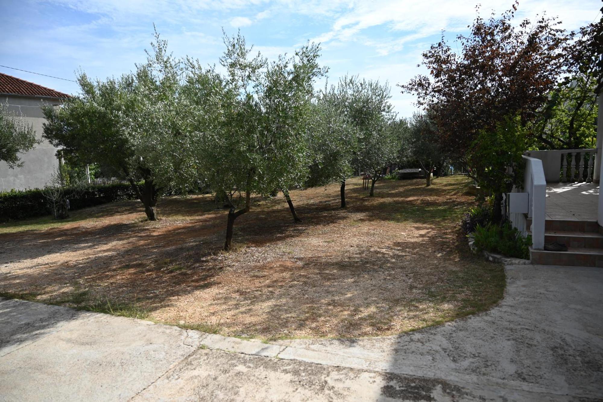 Cozy In With Free Parking And Olive Garden * Zadar