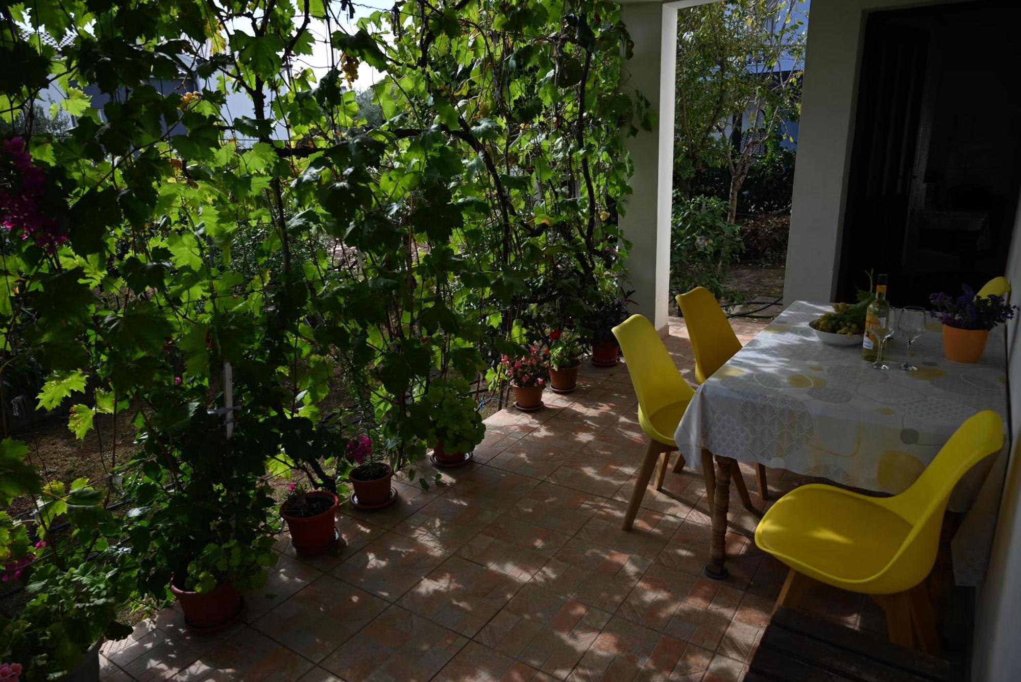 Cozy In With Free Parking And Olive Garden * Zadar